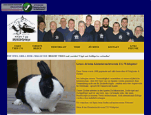 Tablet Screenshot of ktzvt22.com